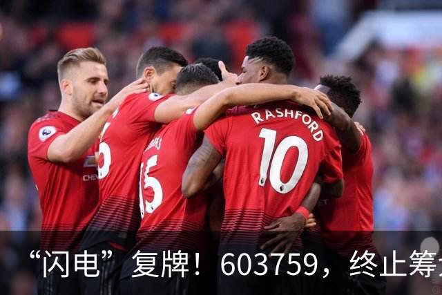 “闪电”复牌！603759，终止筹划重大事项
