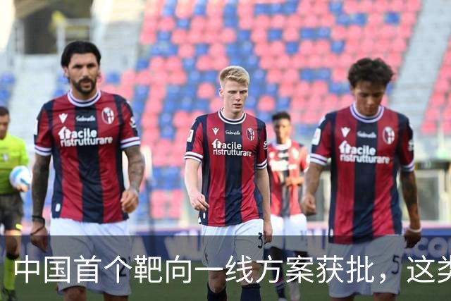 中国首个靶向一线方案获批，这类外周T细胞淋巴瘤迎新选择