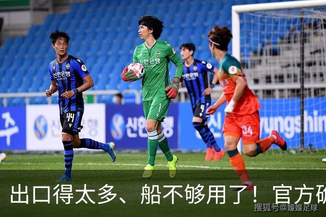 出口得太多、船不够用了！官方确认：比亚迪又买10艘滚装船