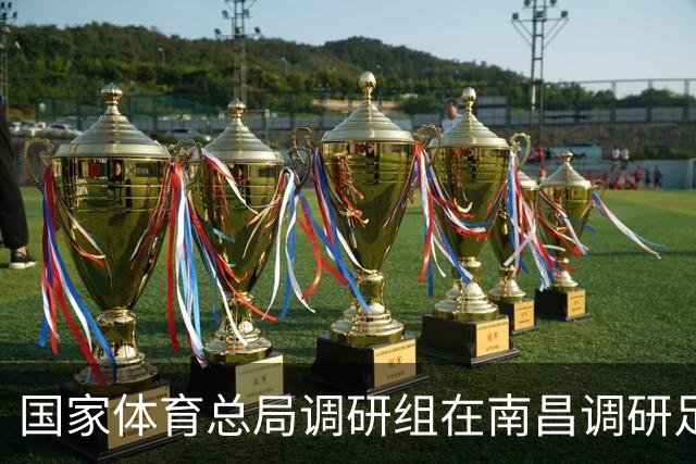 国家体育总局调研组在南昌调研足球工作 张家胜率队 盛秋平等参加有关活动