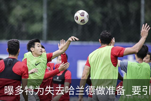 曝多特为失去哈兰德做准备 要引进意甲红人替代