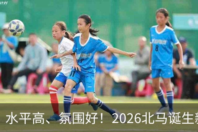 水平高、氛围好！2026北马诞生新纪录，赛事组织获选手认可