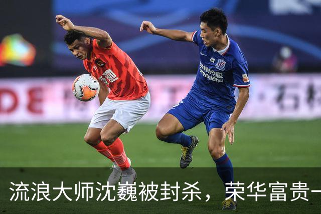流浪大师沈巍被封杀，荣华富贵一场空